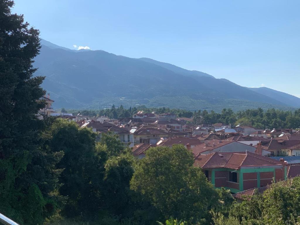 Rodon Apartment With Great View, Sauna And Jacuzzi Litóchoron Kamer foto